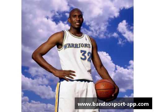 低调享受：深度解析NBA直播观赛心得