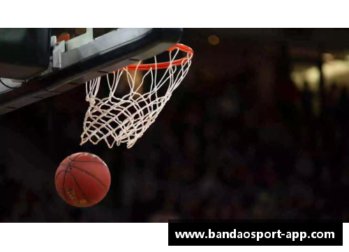 NBA篮筐之下：挑战和荣耀的征程